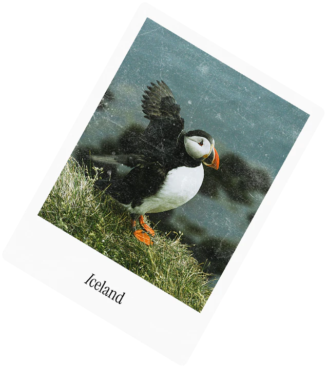 A polaroid captioned Iceland